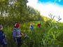 00233_SSR- 3, 2017_07_06
